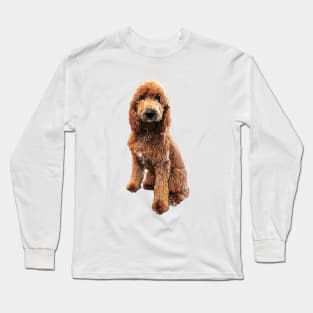 Goldendoodle Golden Doodle Cute Puppy Dog Long Sleeve T-Shirt